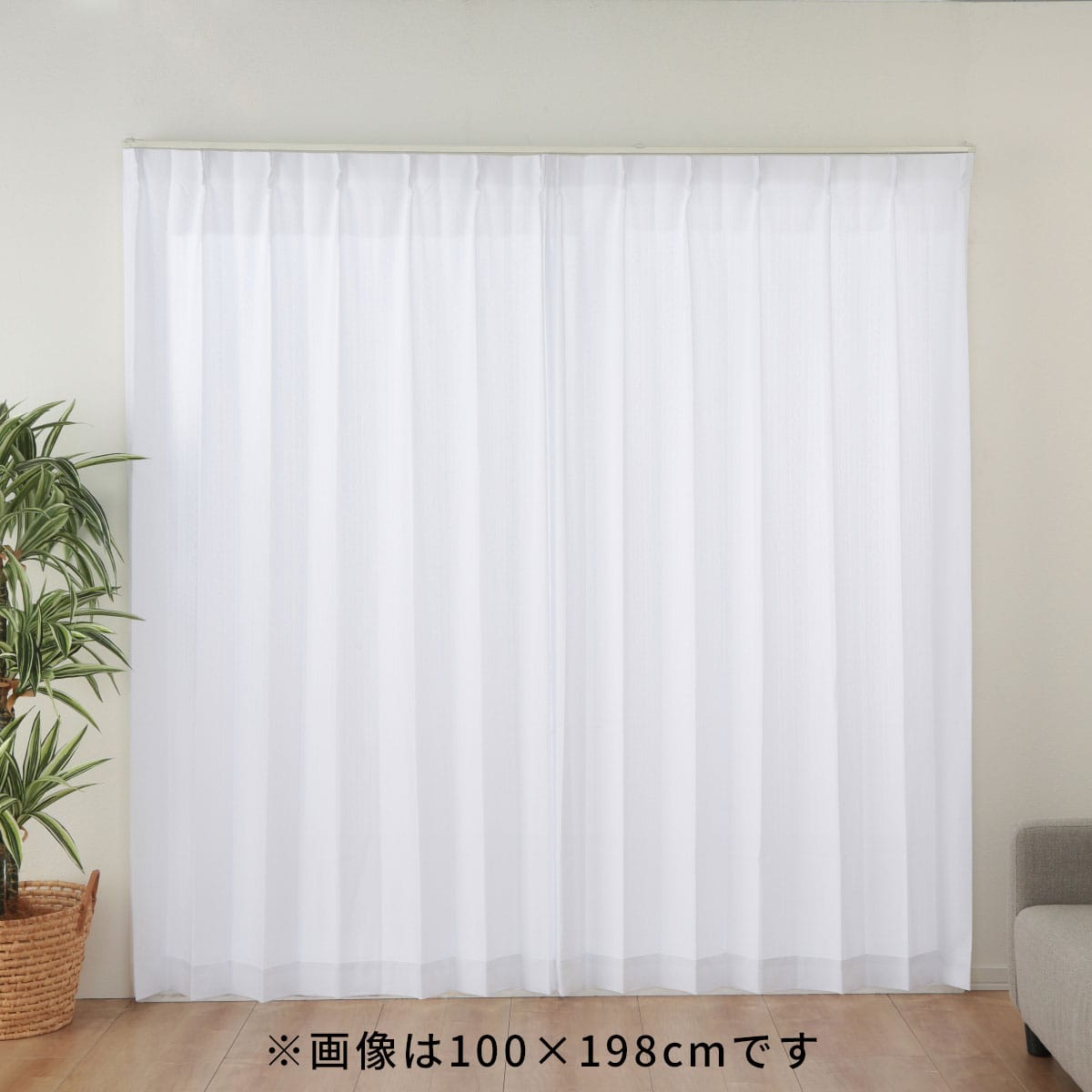 ホームプロテクトレースカーテン2枚組 100×176cm | ABCミッケ