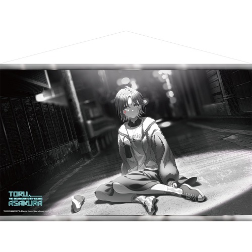 アイドルマスター シャイニーカラーズ タペストリー 浅倉 透（夜はなに