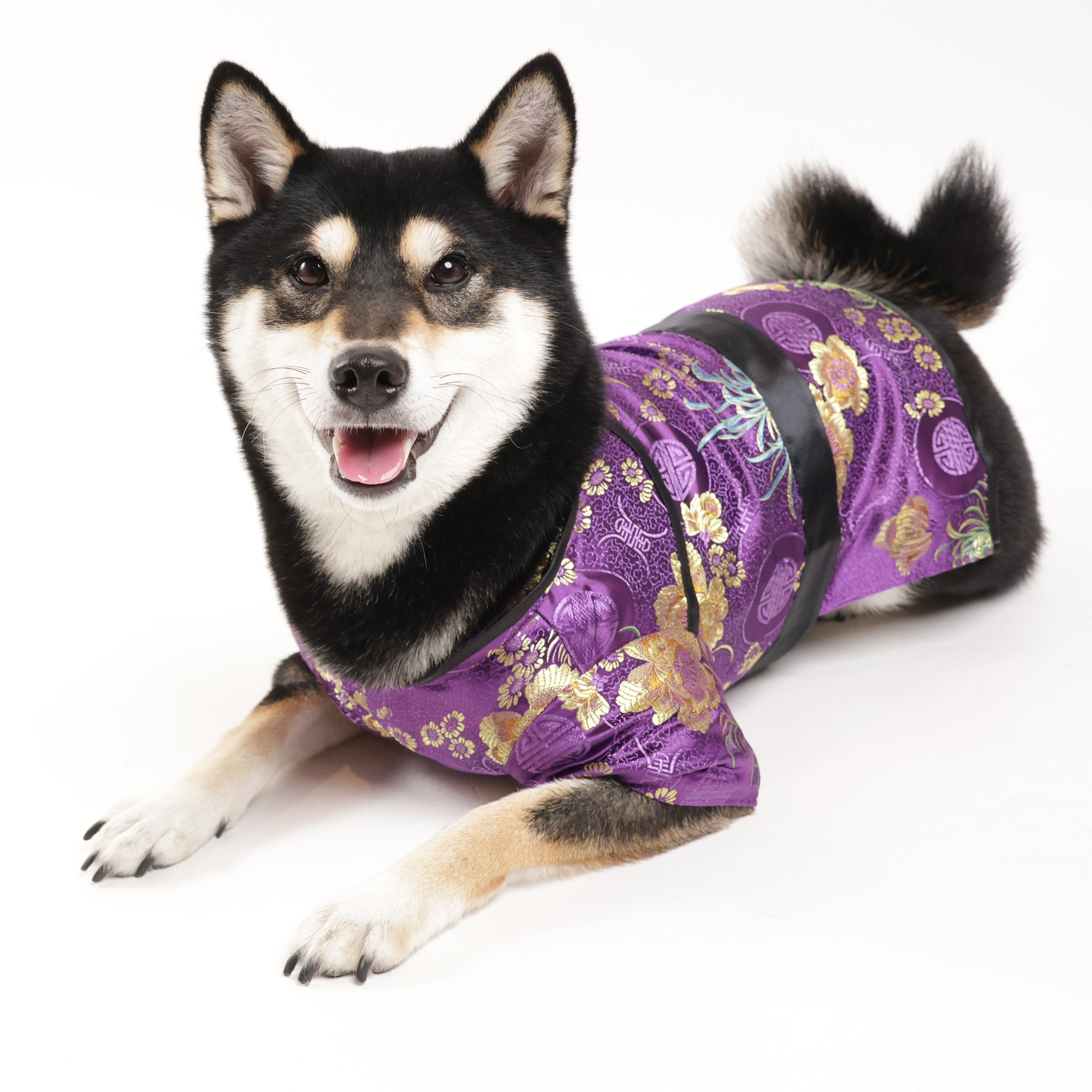 24モデル | 特攻服｜犬の洋服・オーダーメイド衣装通販 DOGBASE