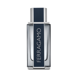 フェラガモ】アモ フェラガモ パー レイ オ－デパルファム 50mL