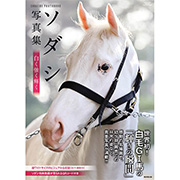 GAMECITYオンラインショッピング：ガストアートコレクション2015