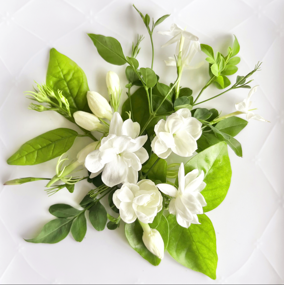 No.5 Jasmine Jasmine オーデパルファム 8ml(8ml): クレイジージャスミン