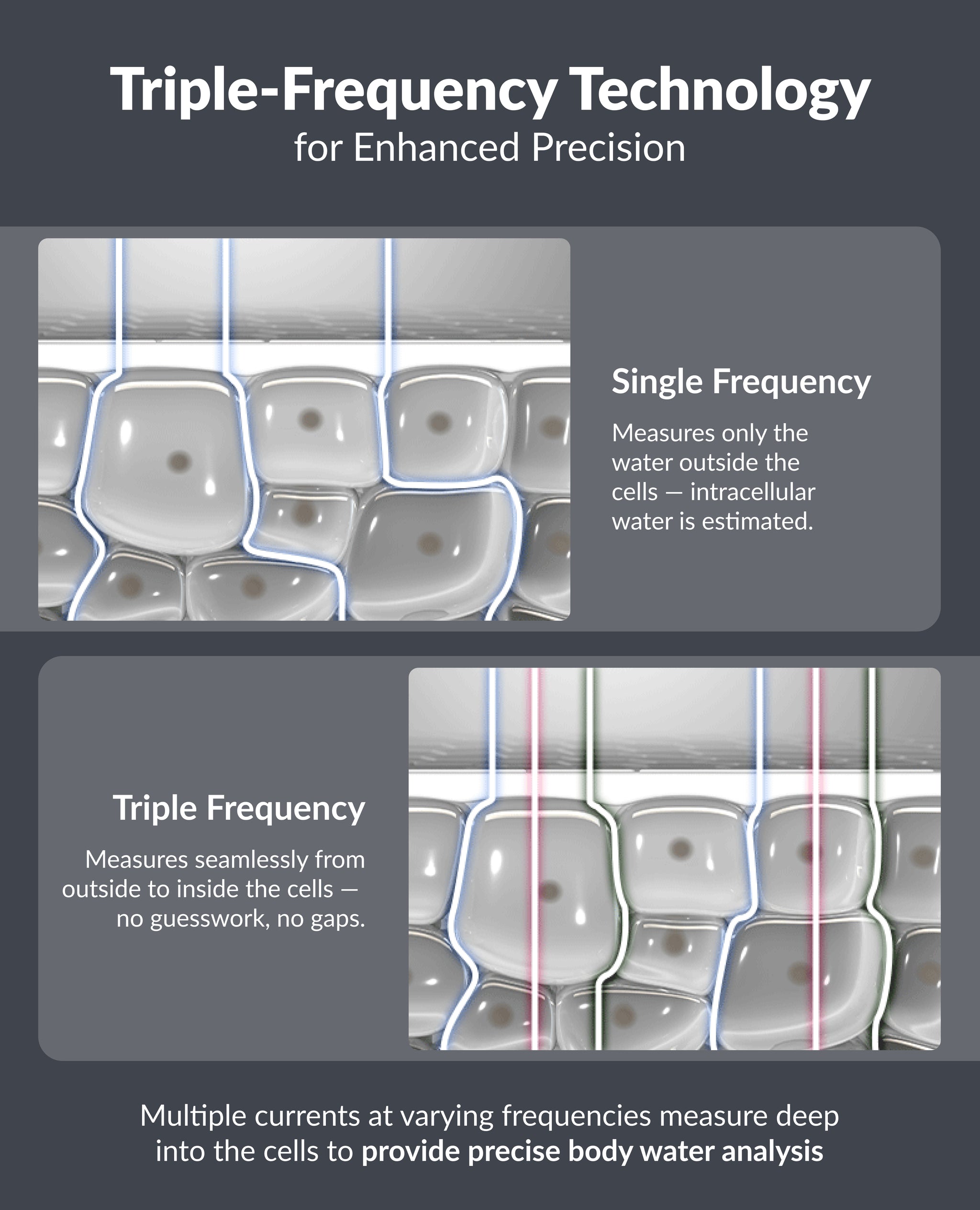 InBody Dial H30 Smart Body Composition Scale | InBody USA