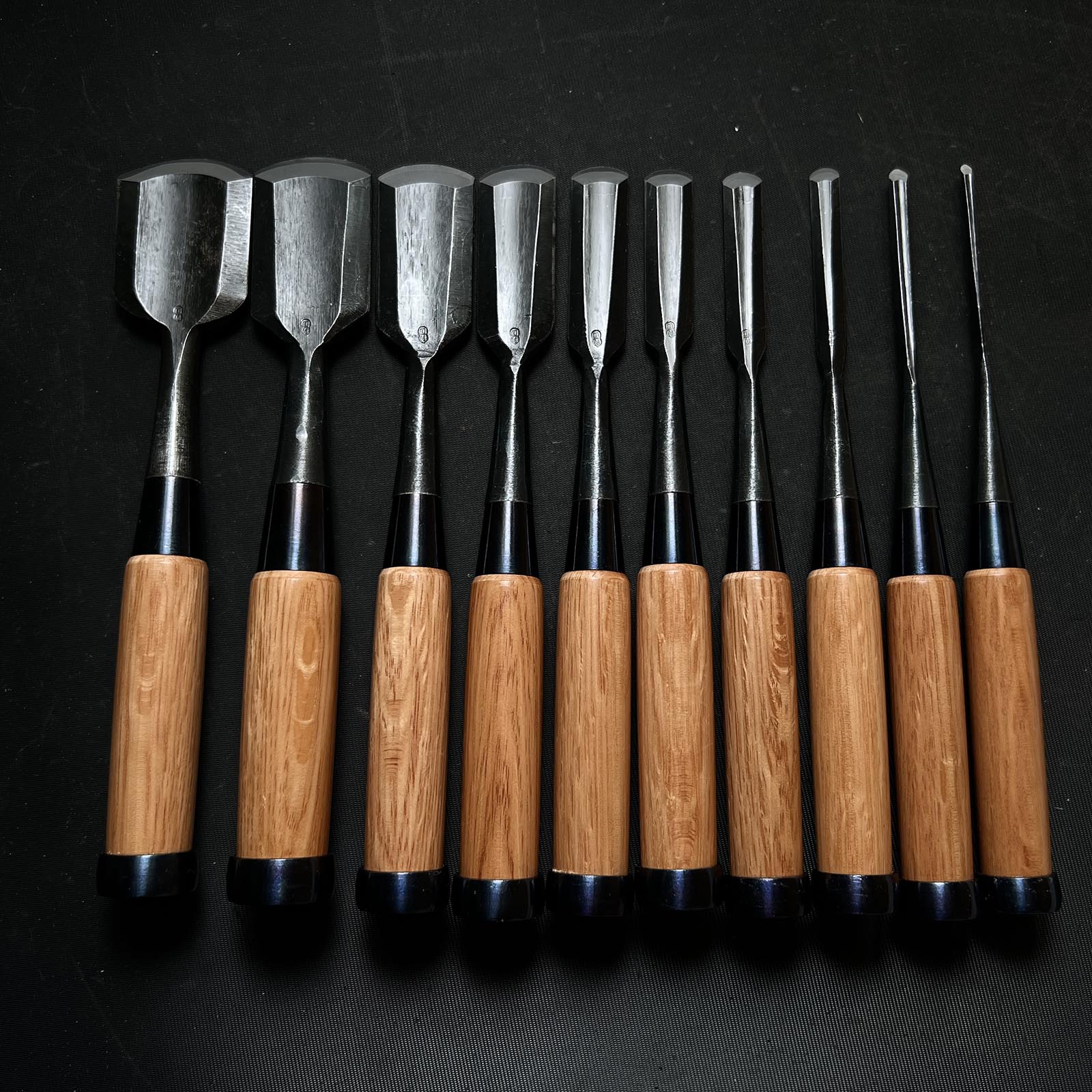 Newest Products – Page 49