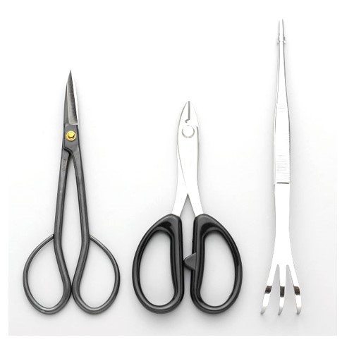 株式会社喜久和 / 盆栽入門お手入れ3点セット 2400/Bonsai tool set