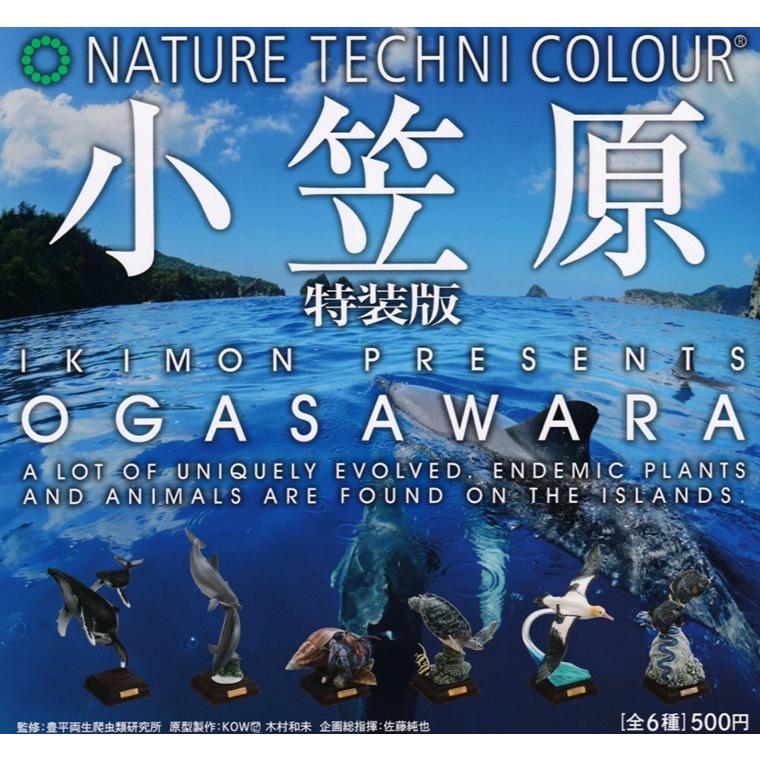 楽天市場】【送料無料】ネイチャーテクニカラー 鳥羽水族館立体