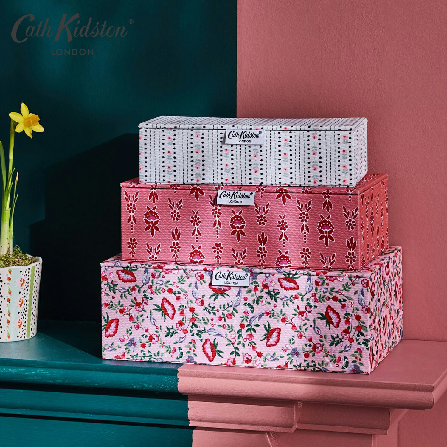 楽天市場】キャス キッドソン 公式 ムーミン ストレージ ボックス 3個