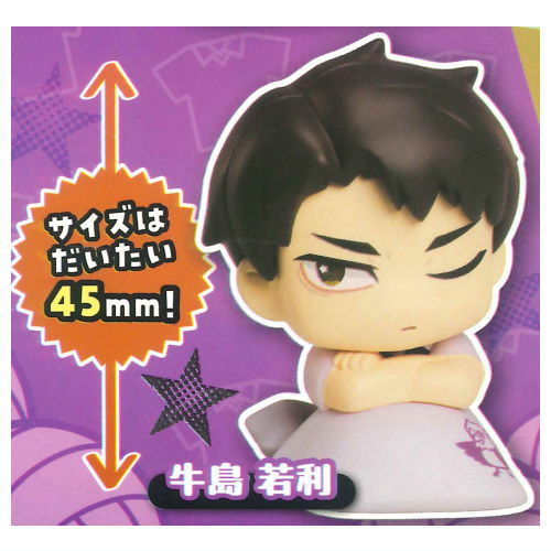 楽天市場】ハイキュー!! ねむらせ隊 [2.日向翔陽]【ネコポス配送対応