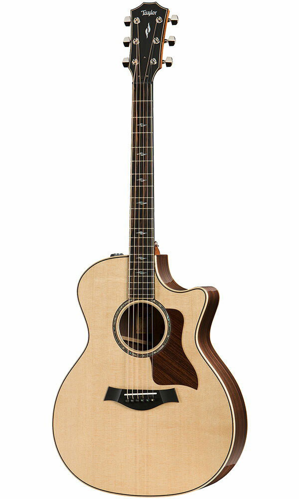 楽天市場】Taylor（テイラー）2023 Special Edition 914ce V-Class