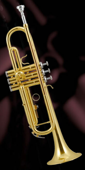 楽天市場】Kaerntner ケルントナー KTR-30 Gold トランペット ラッカー