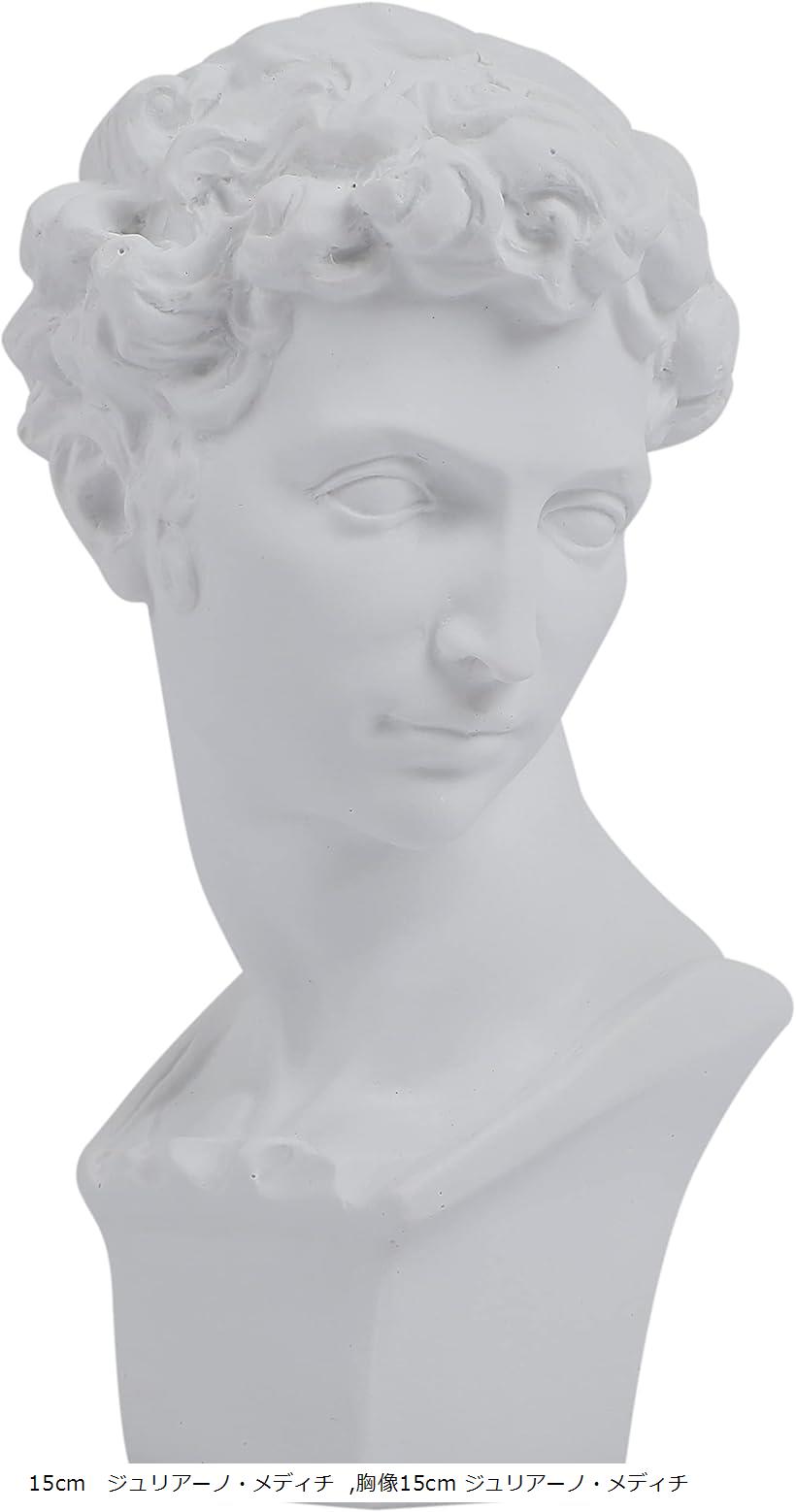 楽天市場】アリアス胸像 荷造費込 送料無料[メール便不可]（備品 石膏