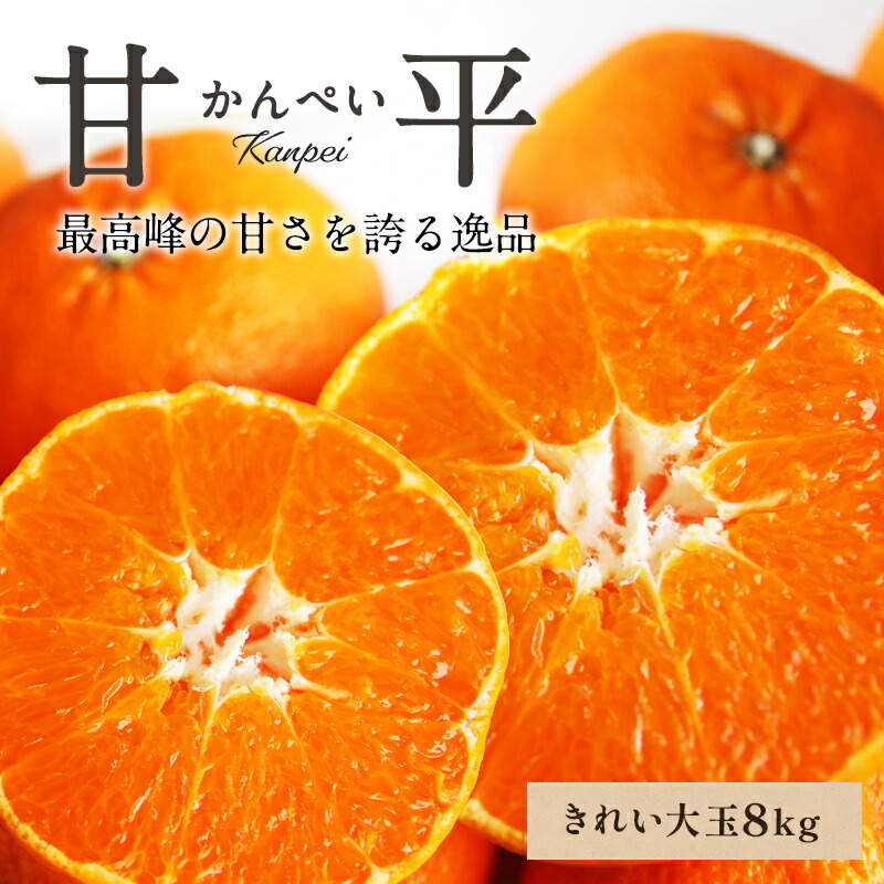 楽天市場】【最大800円OFFクーポン☆2/19 20:00〜2/23 1:59】【早割10