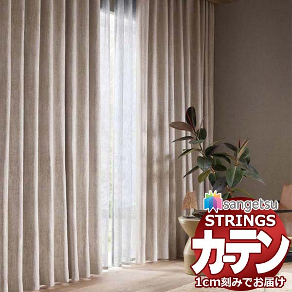 TOSO プレーンシェード 遮光 幅250×高さ220 ドラム式 栃木手渡しのみ