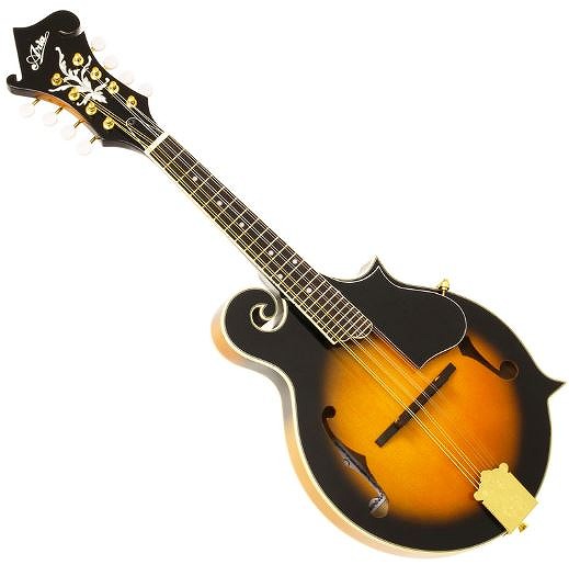 楽天市場】Epiphone エピフォン マンドリン MM-30S フラットマンドリン