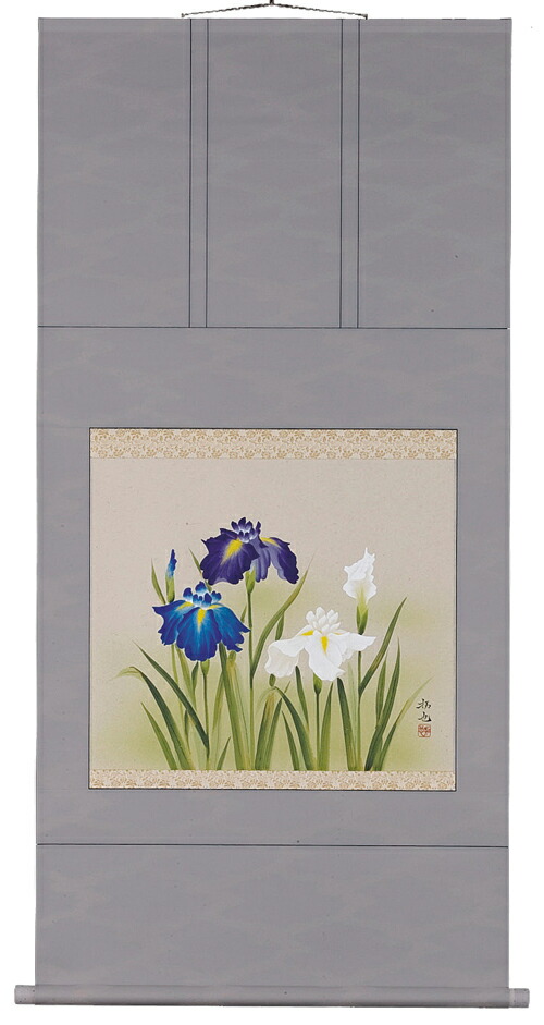 楽天市場】【掛け軸・掛軸】辰本青花『菖蒲』日本画□表装済み・新品