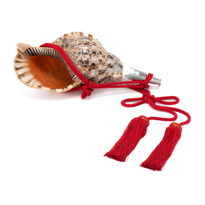 楽天市場】法螺貝・歌口付 サイズ44cm-46cm 真言タイプ : 和楽器総合