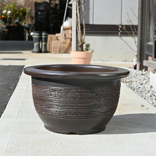 楽天市場】送料無料【信楽植木鉢】大型植木鉢生子信楽焼植木鉢18号