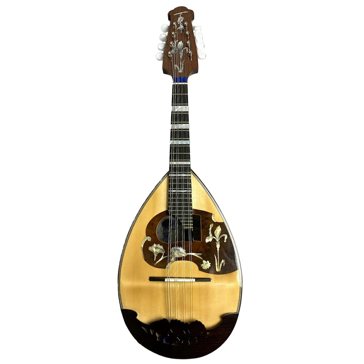 楽天市場】Calace No.24 マンドラ イタリア手工製 カラーチェ No24