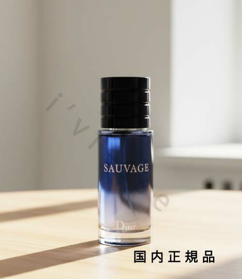 楽天市場】【国内正規品】CHRISTIAN DIOR クリスチャン ディオール