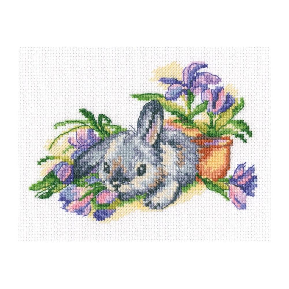 楽天市場】在庫限り 【Anchor】 ピーターラビット クロスステッチ刺繍