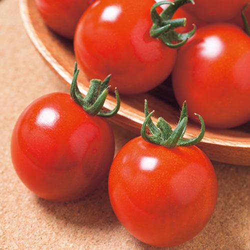 ミニトマト・サマー千果（品種名：TTM117）| 種・苗・ガーデニング用品