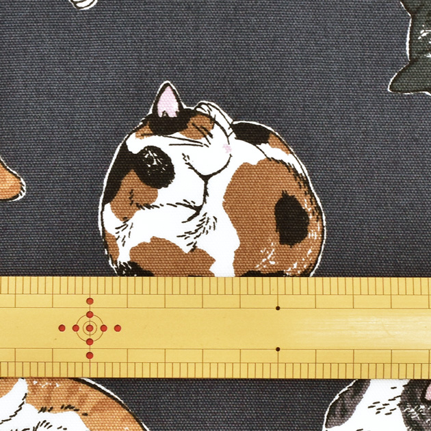 生地 布 布地 オックス まったり 猫 □ ねこ アニマル柄 三毛猫