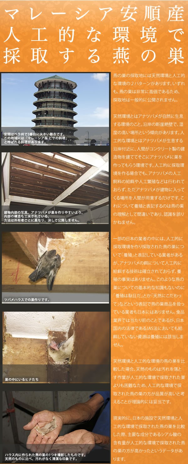 訳あり マレーシア産 フレーク（割れ・カケラ） 割れたツバメの巣 燕の