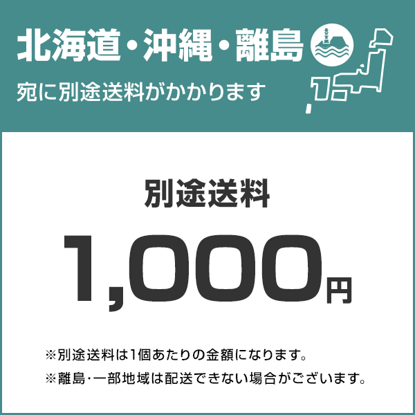 シンワ シンワ測定 アンダーカットゲージ 58695 4960910586956 [基準器