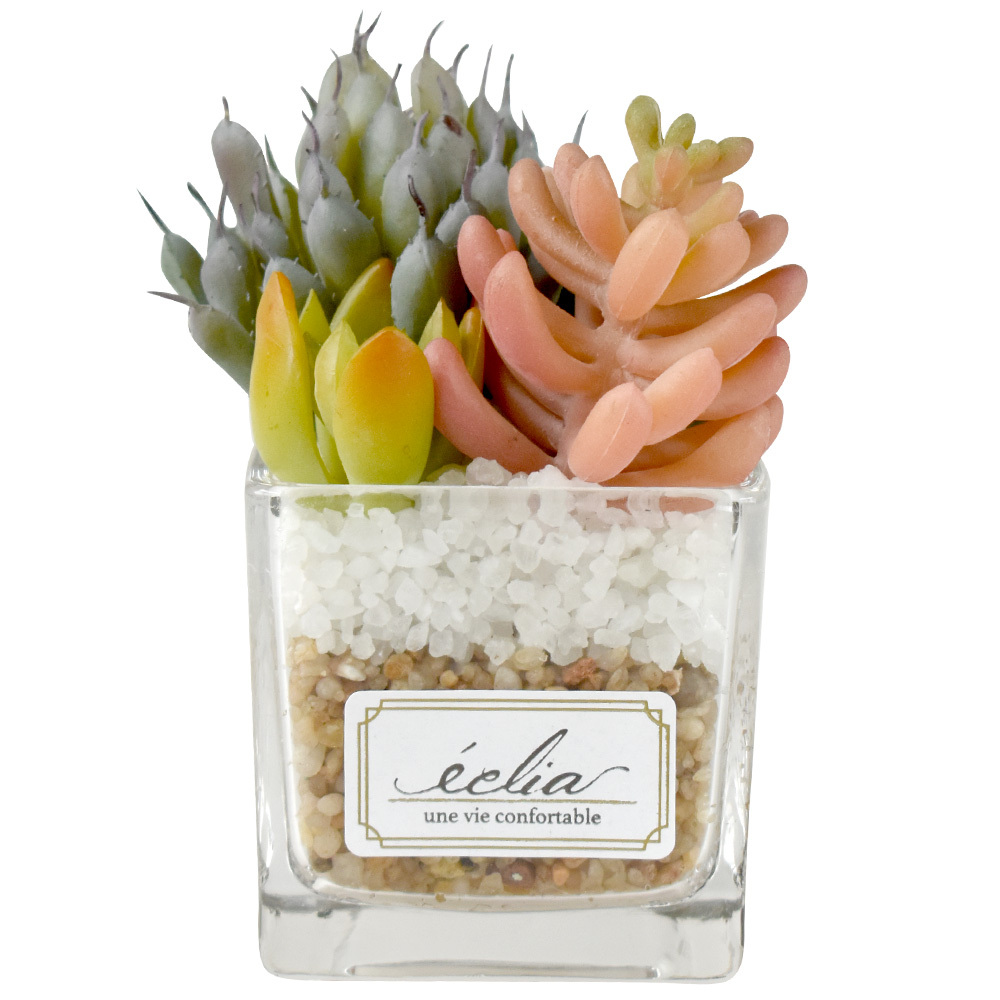 キシマ（KISHIMA） CT触媒 ガラス角鉢 Sサイズ ミニ サボテン 寄せ植え