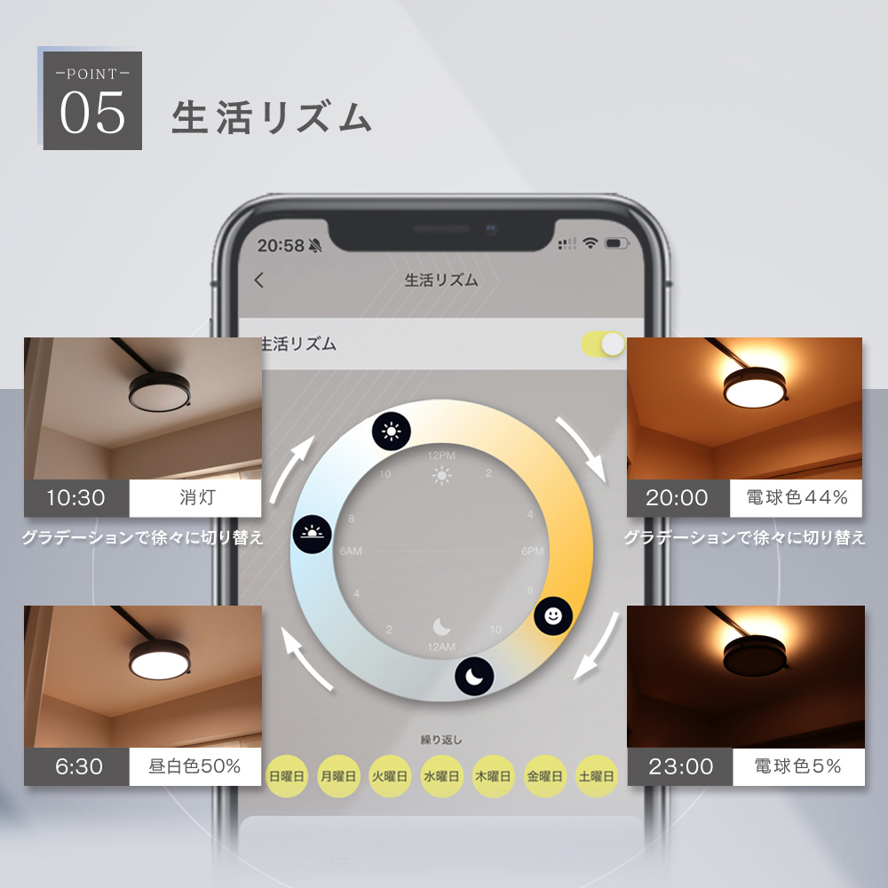 Edison Smart（エジソンスマート） LED デュアルシーリングライト 12畳