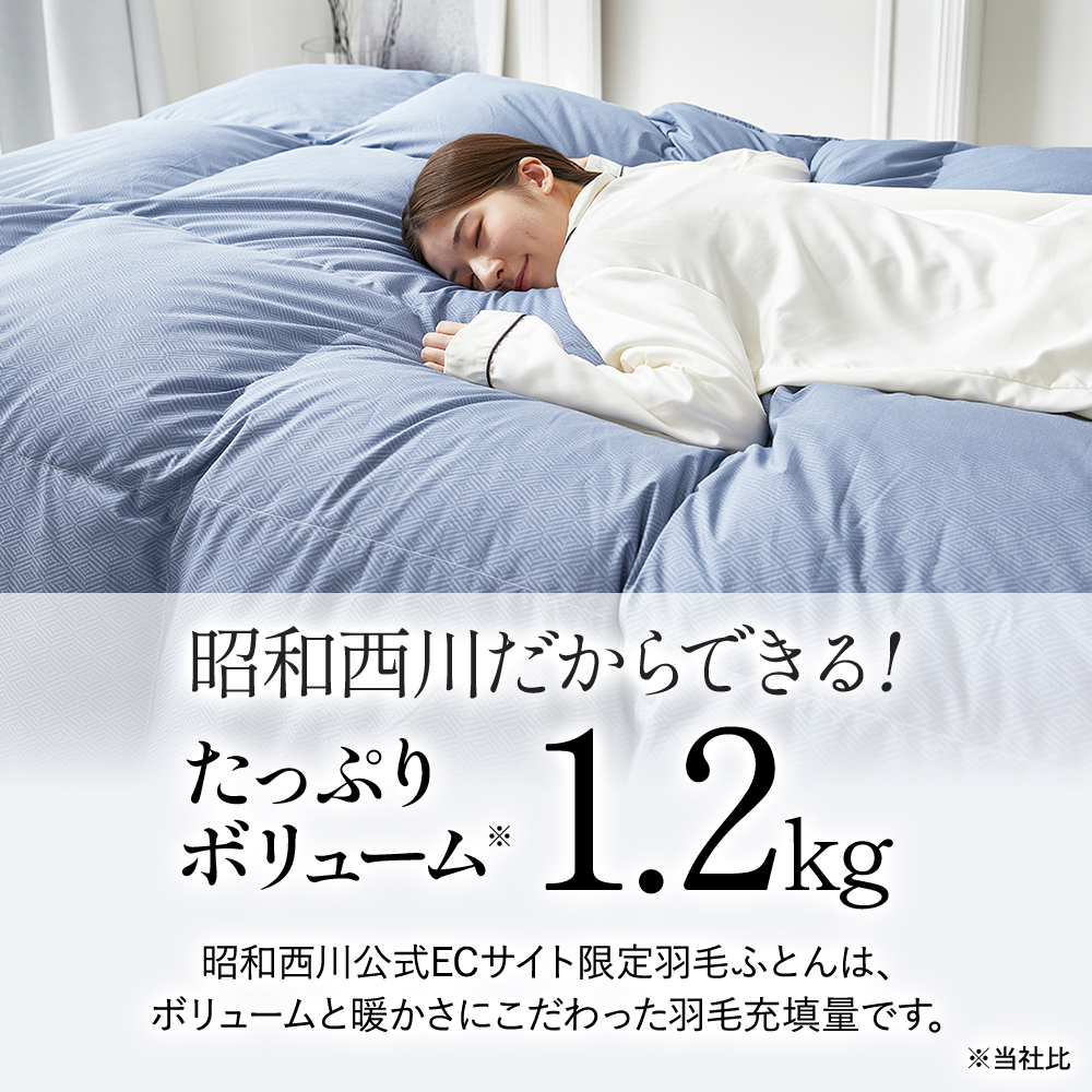 西川（nishikawa） 羽毛布団 シングル ロング 掛けふとん 冬用掛け