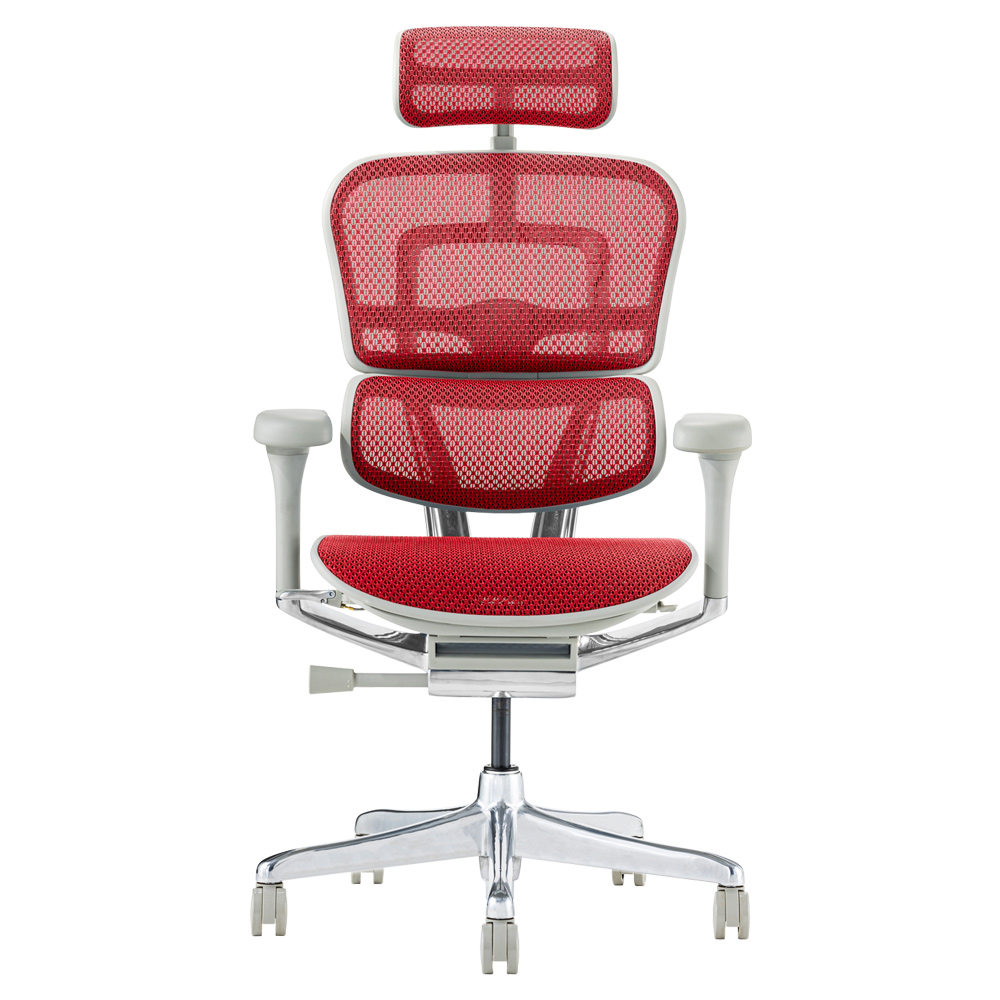 エルゴヒューマン（Ergohuman） プロ2 ヘッドレスト付 メーカー組立済