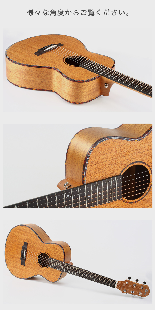 初心者セット8点】ELVISエルビス Master 1 アコースティックギター