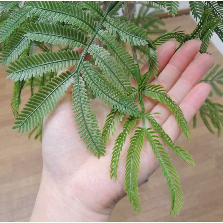 エバーフレッシュ 160cm (ネムノキ フェイクグリーン リアル 本物 大型