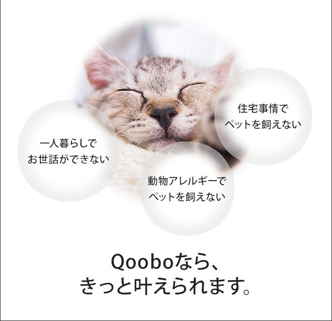 しっぽクッション Qoobo : セレクトショップAQUA・アクア - 通販