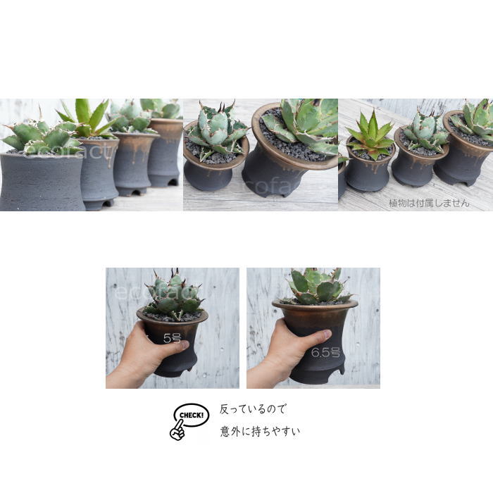 陶器鉢 植木鉢 6.5号 底穴あり 金彩高脚 ブラック サナなし 園芸鉢