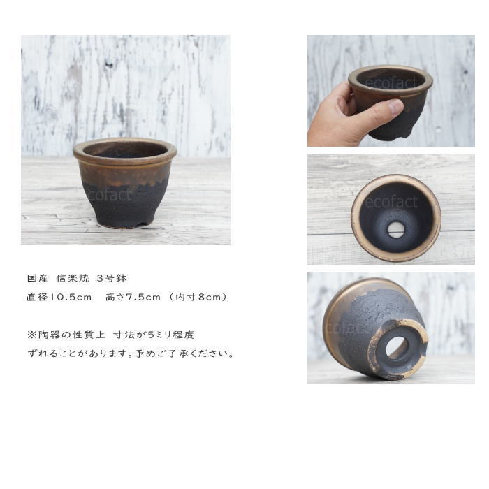 陶器鉢 植木鉢 3号フチ 底穴あり 金彩 ブラック 園芸鉢 信楽焼 かみ山