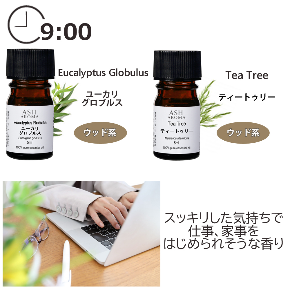 ASH AROMA アロマミニギフト アロマオイル＆アロマストーン 選べる