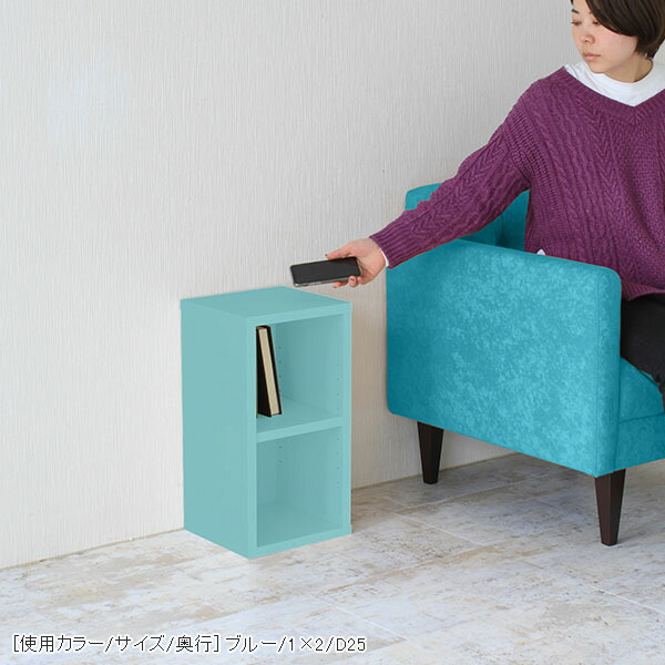 arne（アーネ） 本棚 スリム 低い ロータイプ カラーボックス ラック