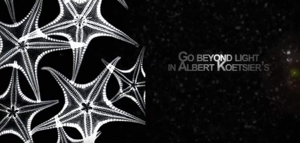 レントゲンアート 花 x-ray art アートパネル アートポスター アート