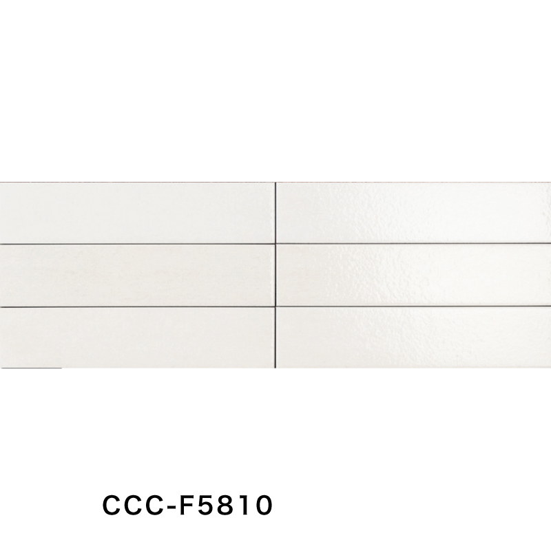 名古屋モザイク / カサカルダ Casa calda 290×65角平(ブライト) 34枚入