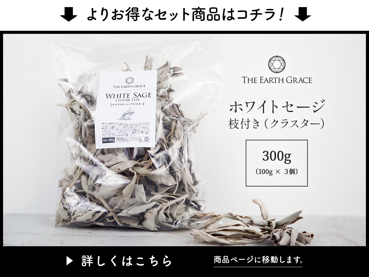 ホワイトセージ 浄化用 枝付き クラスター 約100g 浄化 無農薬 高品質