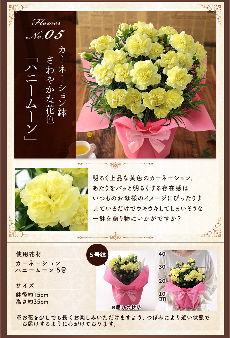 早割実施中！ 母の日 2026 プレゼント 花 ギフト 花とスイーツ セット