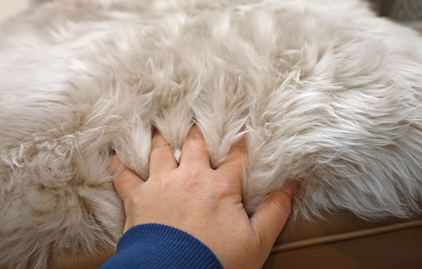 新品 在庫限り BOWRON ボーロン GOLD STAR ムートンラグ 1.5匹