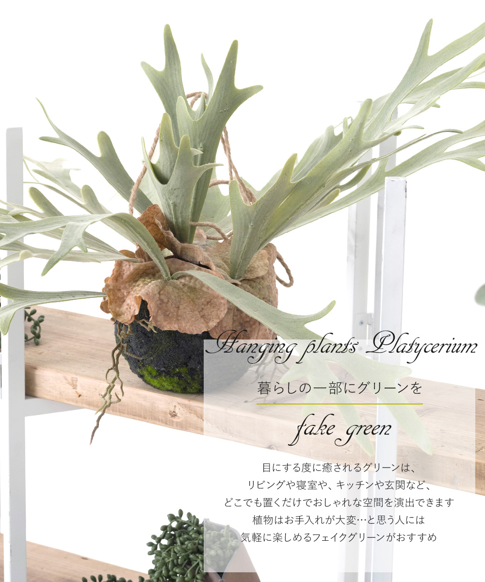 コウモリラン 壁掛け ビカクシダ 人工 観葉植物 フェイク リアル 吊り