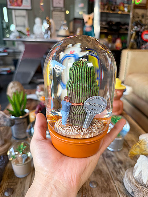 DULTON（ダルトン） プランツ ウォーターグローブ （カクタス with