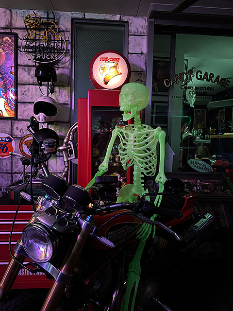 暗闇で光る！ 等身大サイズ 蓄光 ディスプレイガイコツ 150cm Lサイズ