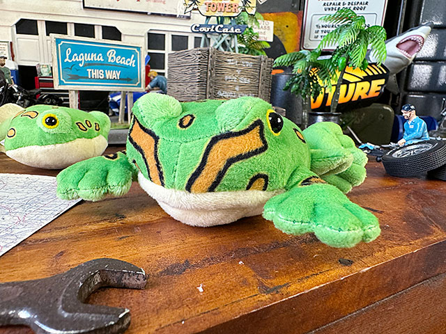 ベルツノガエル マグネット付き ぬいぐるみ カエル 単品 □ アメリカン