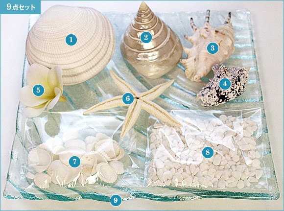 貝殻のリゾートコーデ9点セット インテリア オブジェ 海 おしゃれ