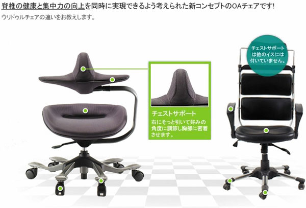 アイポールチェア iPole7 牛皮タイプウリドルチェア Wooridul chair